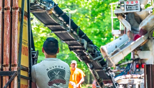 4458e77af5c737a4e9e4696cbd74de22